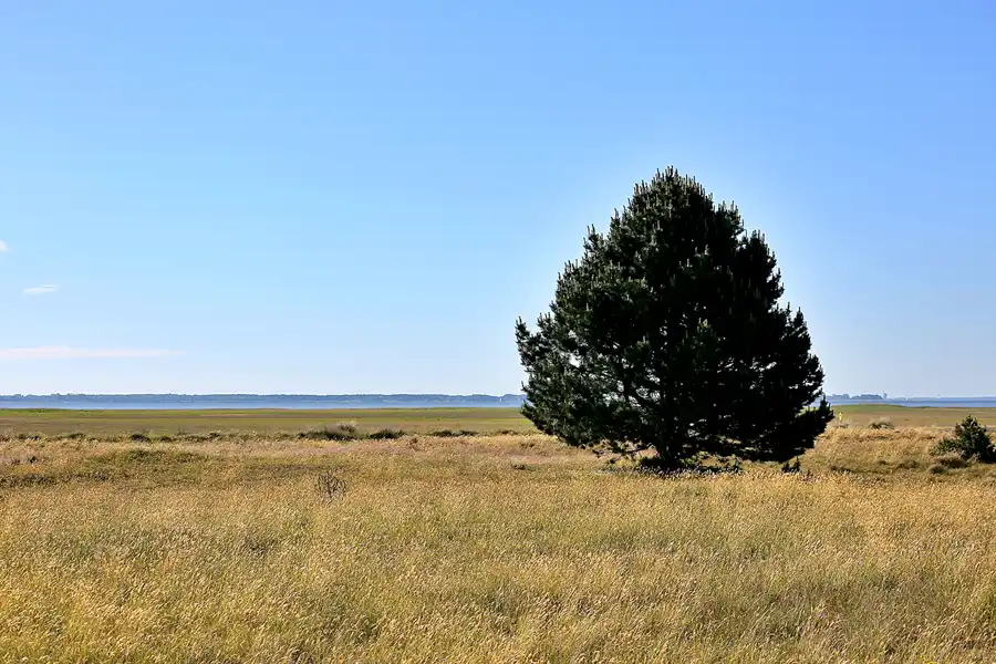171 | 2020 | Hiddensee | © carsten riede fotografie