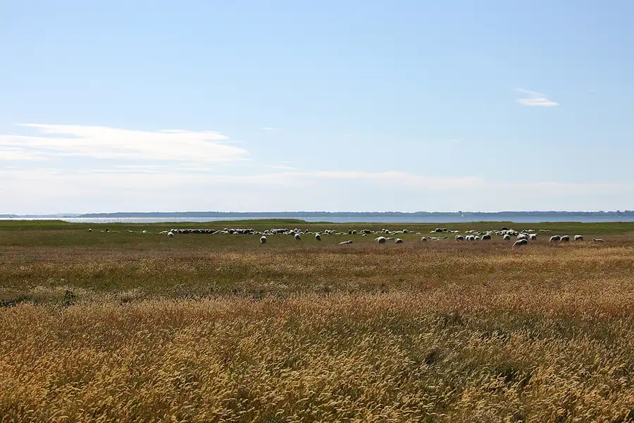 172 | 2020 | Hiddensee | © carsten riede fotografie