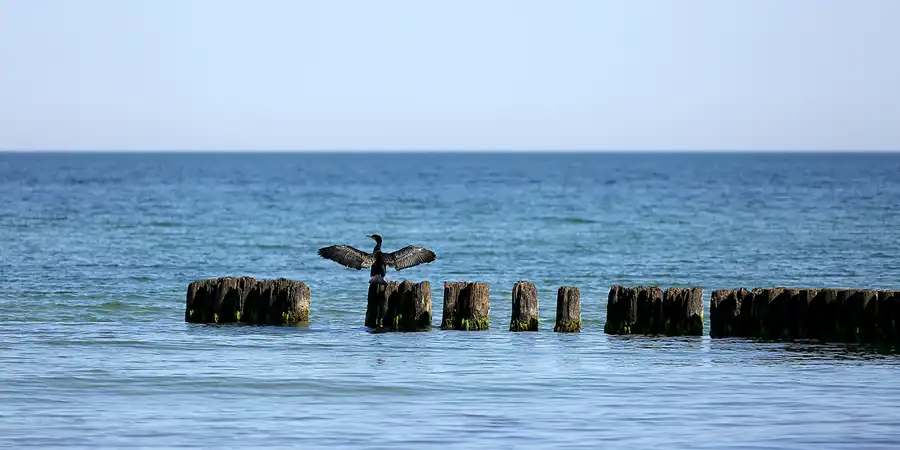 178 | 2020 | Hiddensee | © carsten riede fotografie
