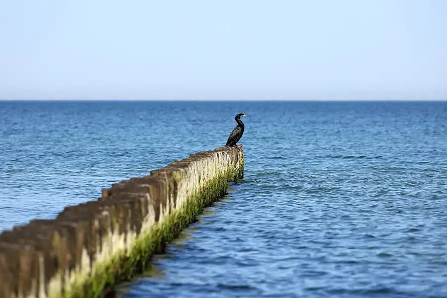 179 | 2020 | Hiddensee | © carsten riede fotografie