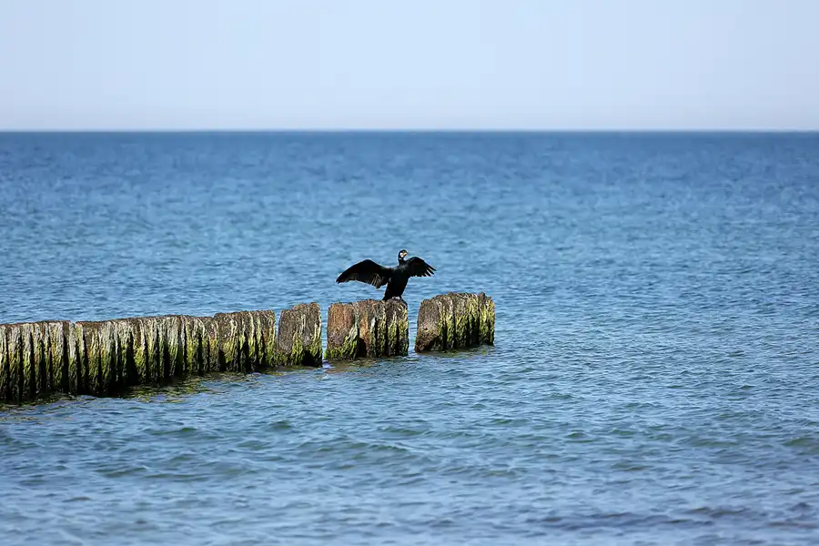 180 | 2020 | Hiddensee | © carsten riede fotografie
