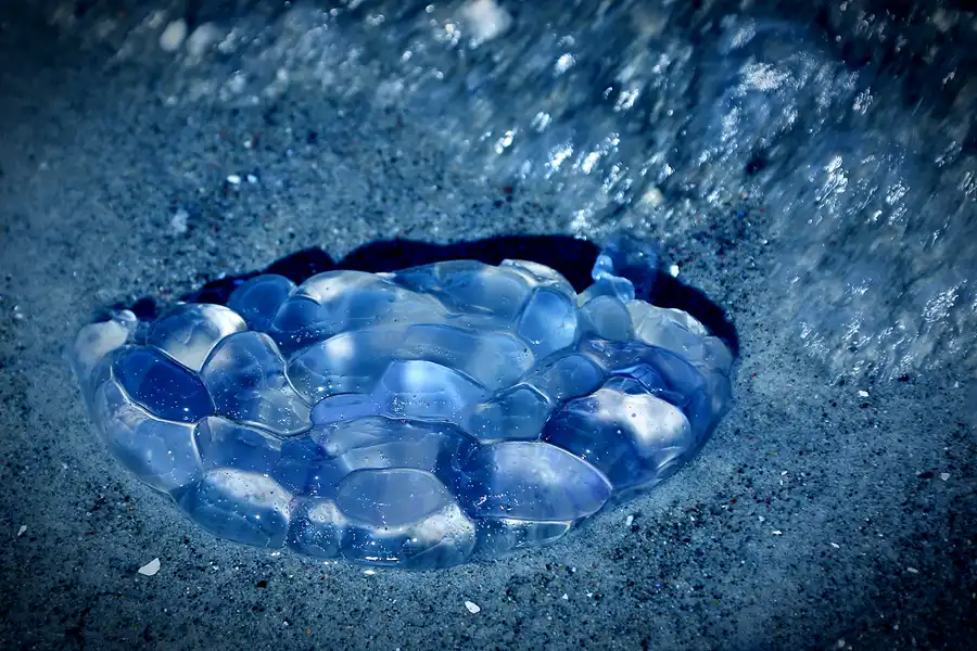 182 | 2020 | Hiddensee | © carsten riede fotografie