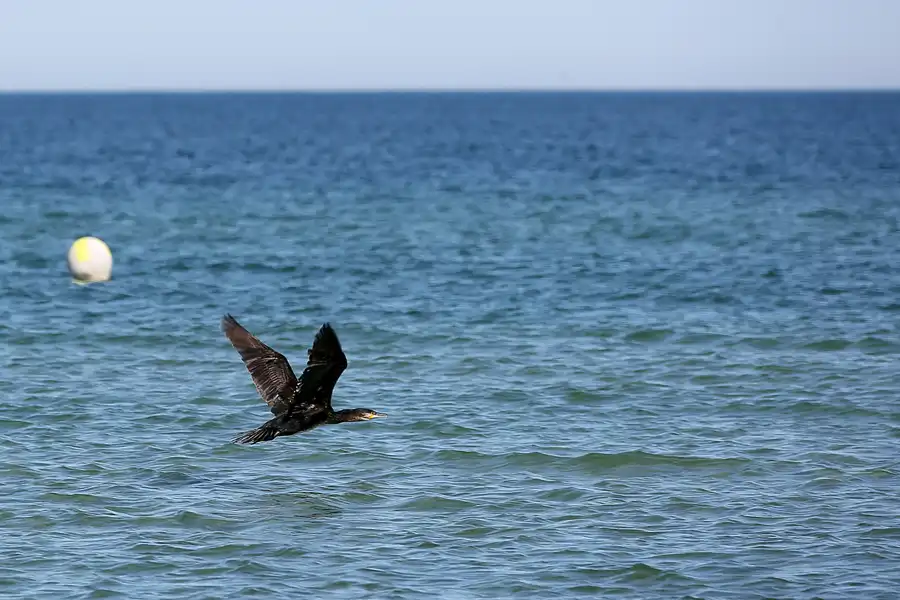 185 | 2020 | Hiddensee | © carsten riede fotografie