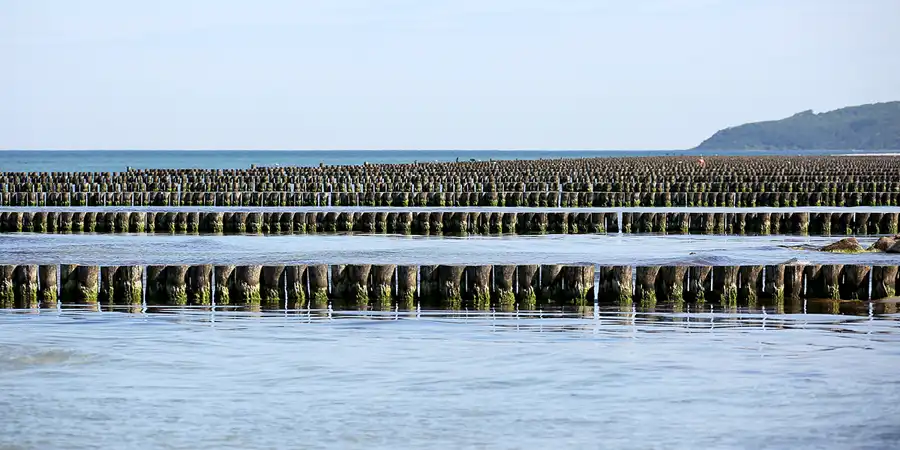187 | 2020 | Hiddensee | © carsten riede fotografie