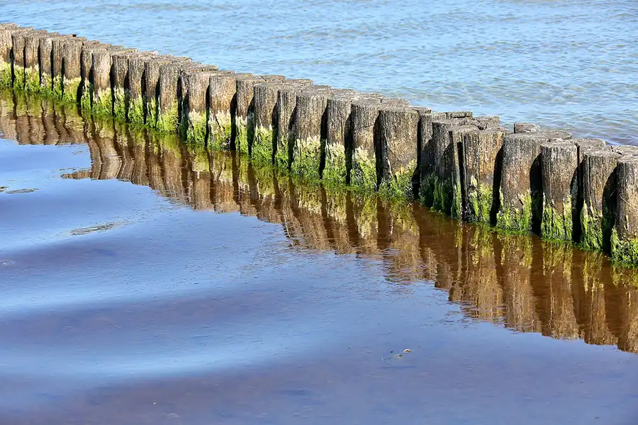 188 | 2020 | Hiddensee | © carsten riede fotografie
