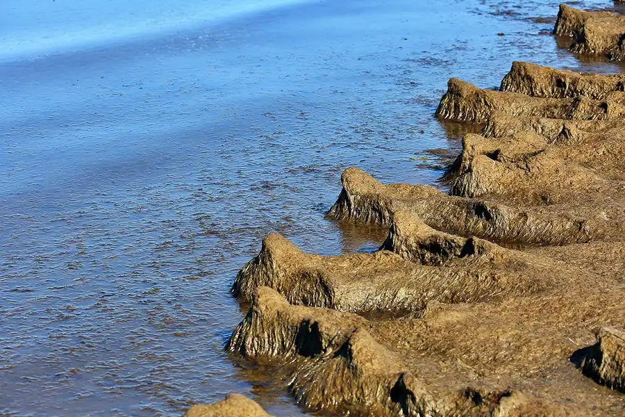 190 | 2020 | Hiddensee | © carsten riede fotografie