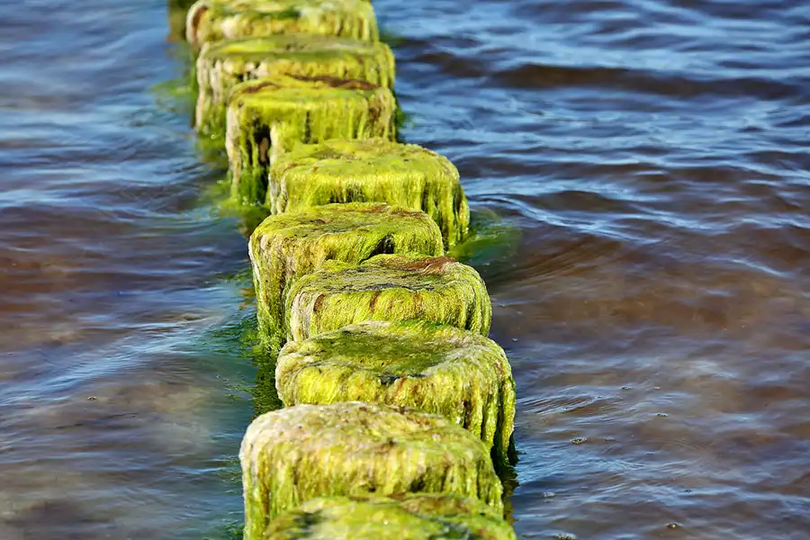 193 | 2020 | Hiddensee | © carsten riede fotografie