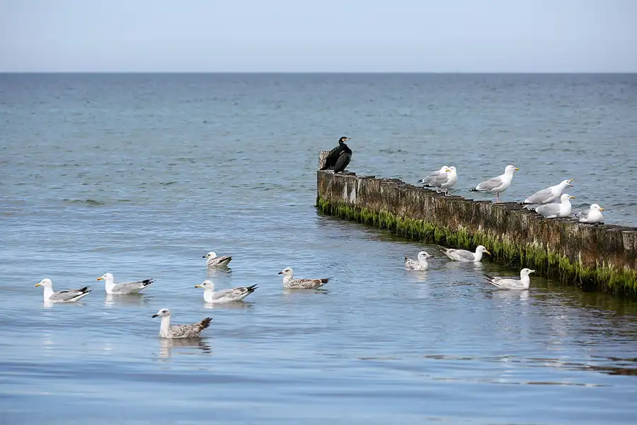194 | 2020 | Hiddensee | © carsten riede fotografie