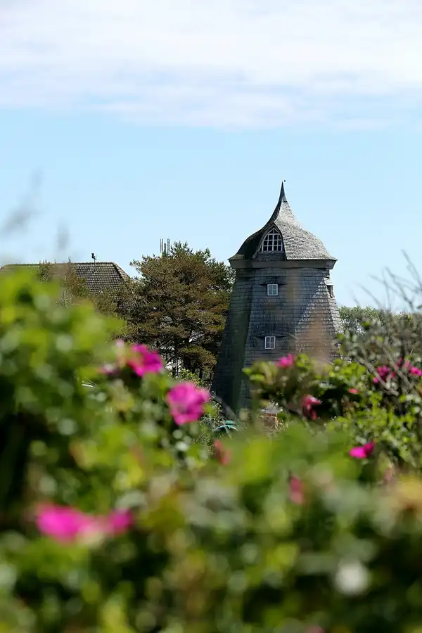 196 | 2020 | Hiddensee | © carsten riede fotografie