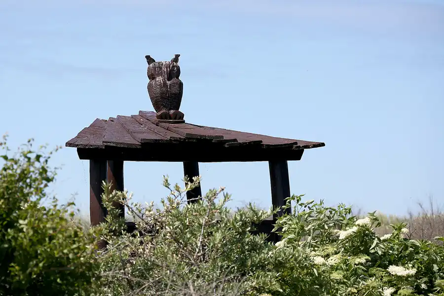 200 | 2020 | Hiddensee | © carsten riede fotografie