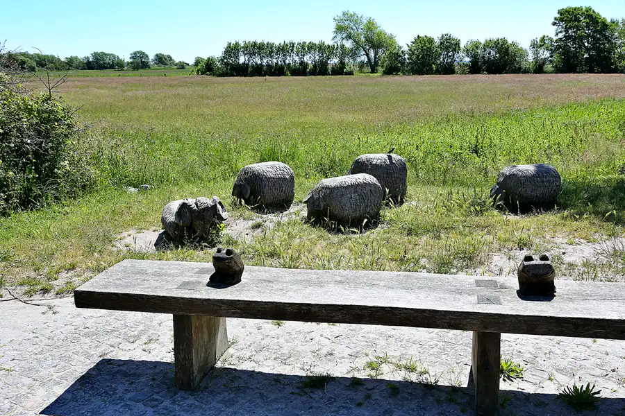 203 | 2020 | Hiddensee | © carsten riede fotografie