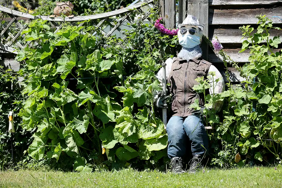 208 | 2020 | Hiddensee | © carsten riede fotografie