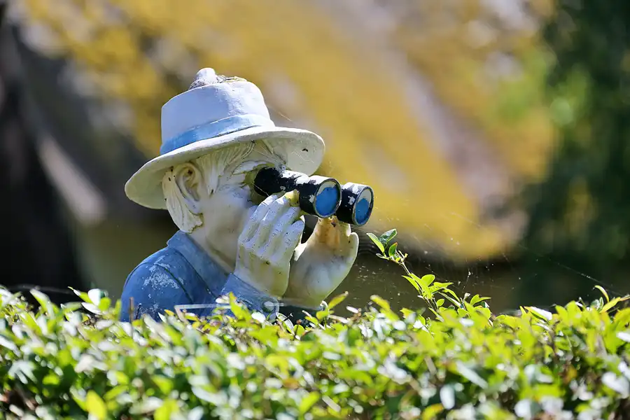 209 | 2020 | Hiddensee | © carsten riede fotografie