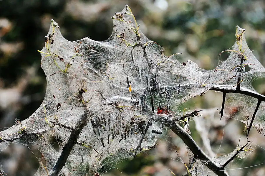 212 | 2020 | Hiddensee | © carsten riede fotografie