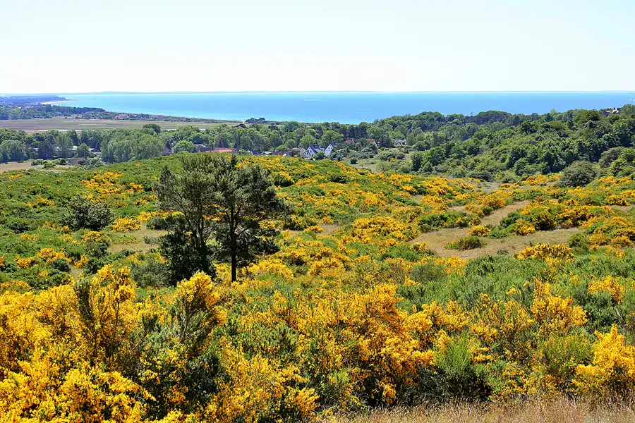 219 | 2020 | Hiddensee | © carsten riede fotografie