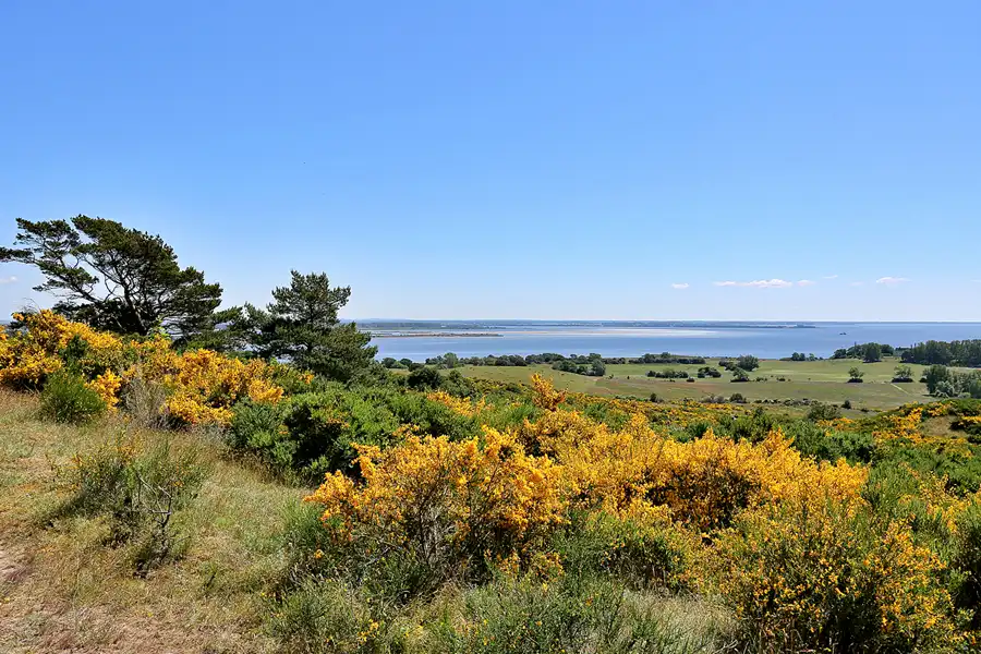 220 | 2020 | Hiddensee | © carsten riede fotografie