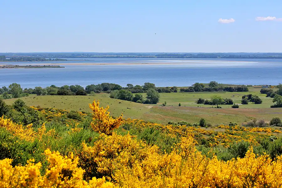 221 | 2020 | Hiddensee | © carsten riede fotografie