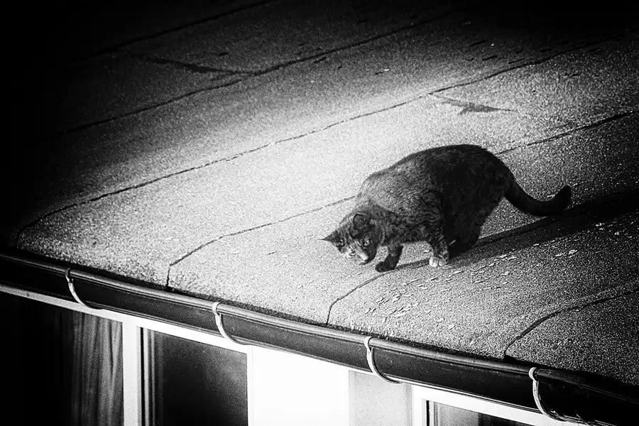 014 | 2020 | Lohme | © carsten riede fotografie