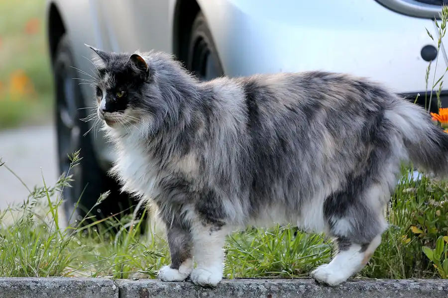 052 | 2020 | Lohme | © carsten riede fotografie