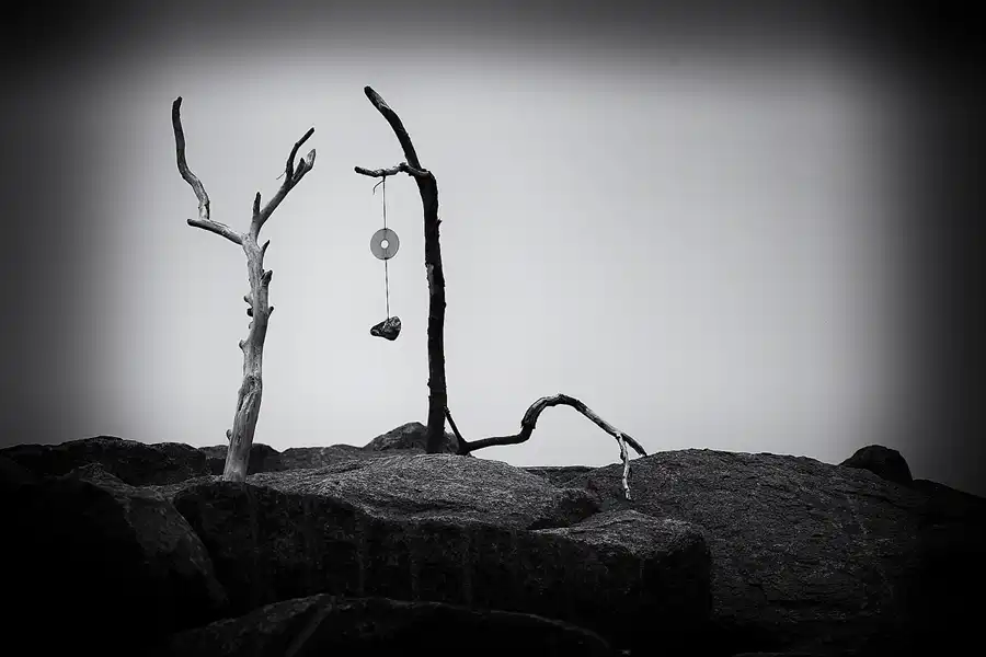 061 | 2020 | Lohme | © carsten riede fotografie