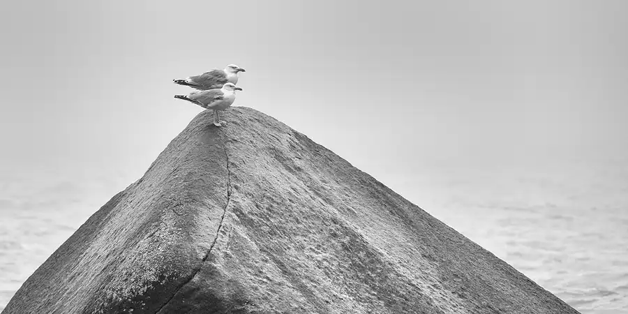 062 | 2020 | Lohme | Schwanenstein | © carsten riede fotografie