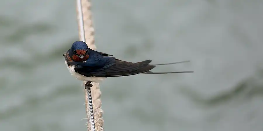 064 | 2020 | Lohme | © carsten riede fotografie