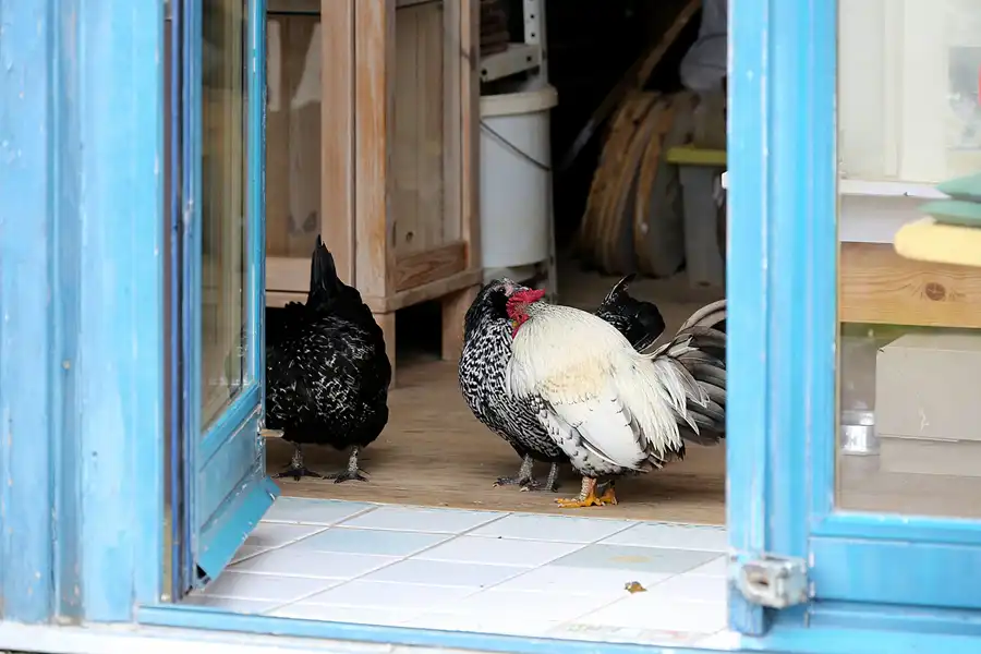 065 | 2020 | Lohme | © carsten riede fotografie