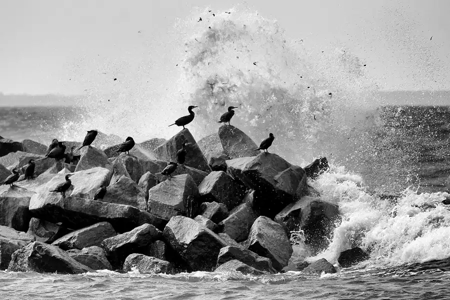 067 | 2020 | Lohme | © carsten riede fotografie