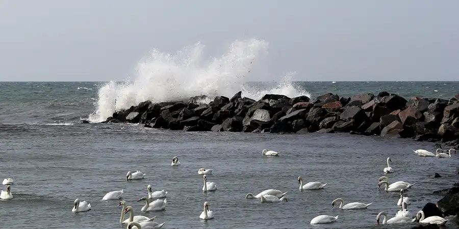 069 | 2020 | Lohme | © carsten riede fotografie