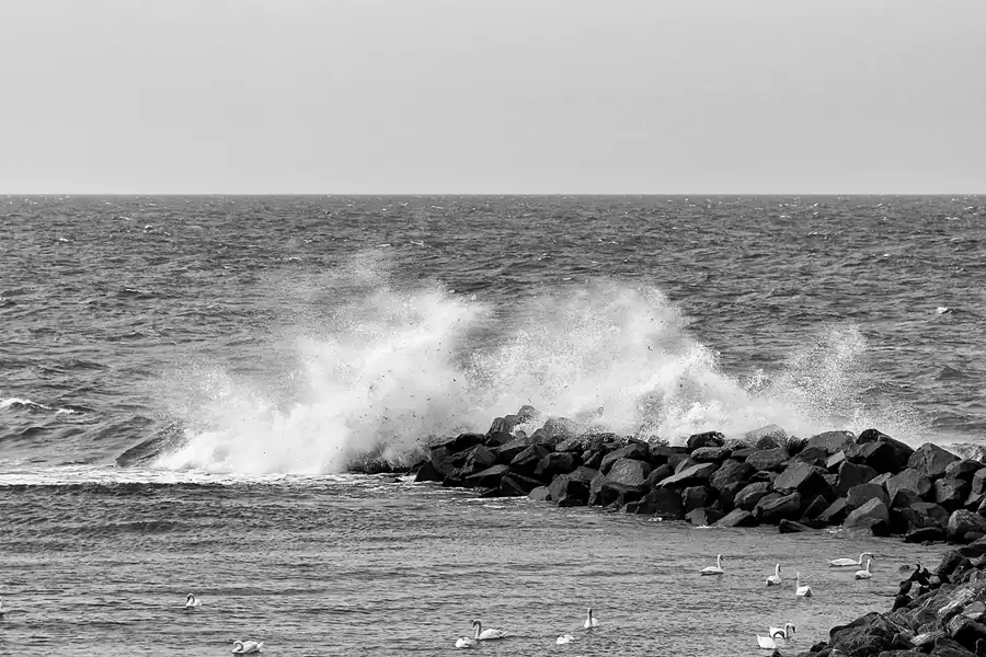 070 | 2020 | Lohme | © carsten riede fotografie