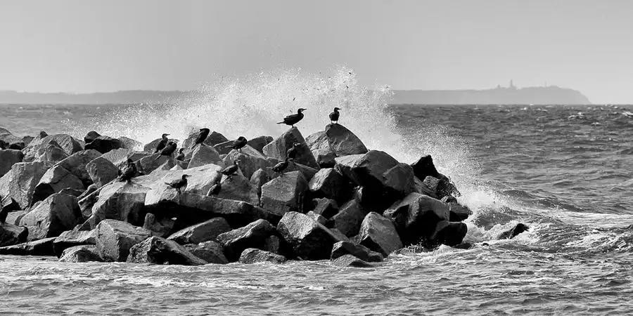 071 | 2020 | Lohme | © carsten riede fotografie