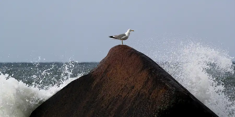 081 | 2020 | Lohme | Schwanenstein | © carsten riede fotografie