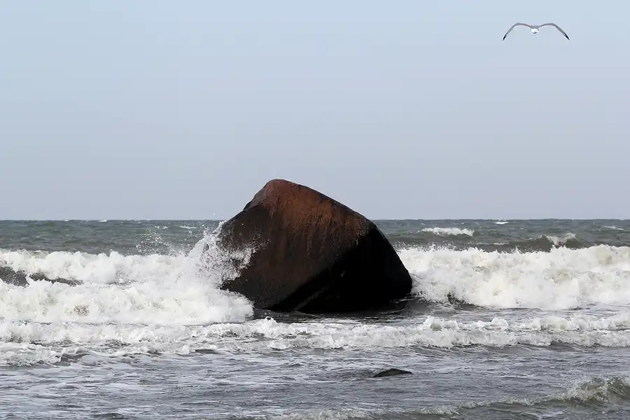 082 | 2020 | Lohme | Schwanenstein | © carsten riede fotografie