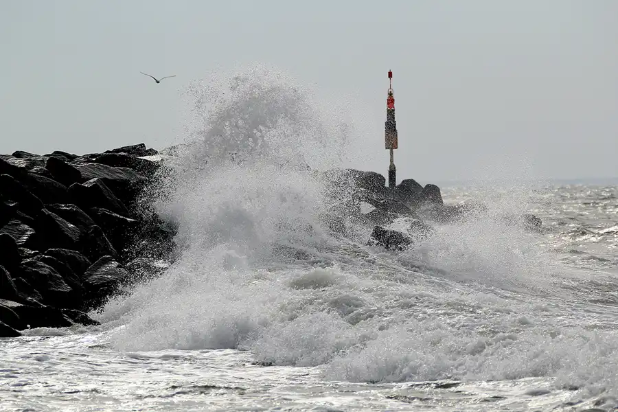 084 | 2020 | Lohme | © carsten riede fotografie