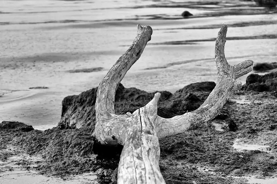 089 | 2020 | Lohme | © carsten riede fotografie