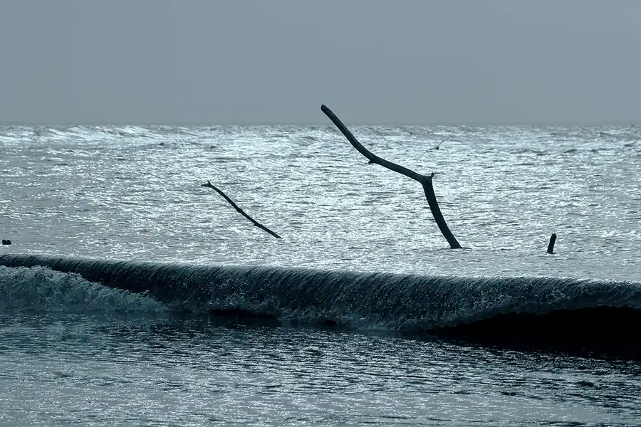 091 | 2020 | Lohme | © carsten riede fotografie