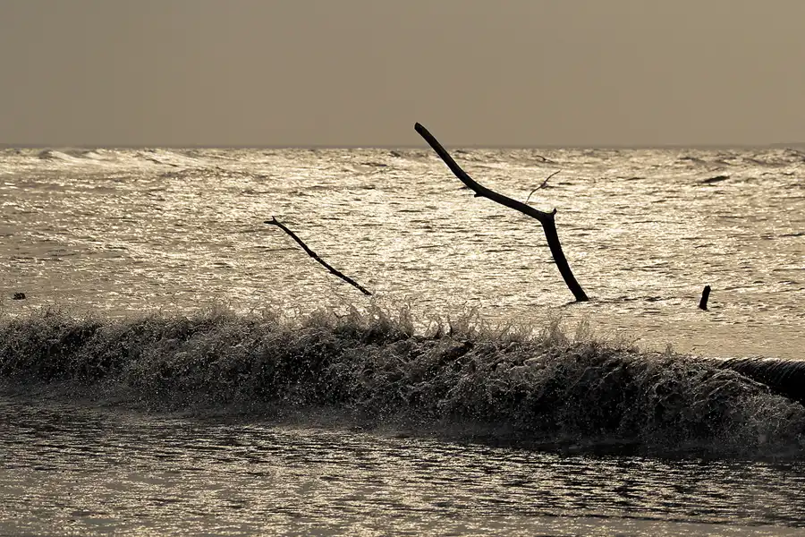 092 | 2020 | Lohme | © carsten riede fotografie