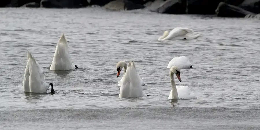 093 | 2020 | Lohme | © carsten riede fotografie