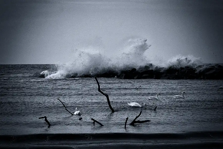 094 | 2020 | Lohme | © carsten riede fotografie