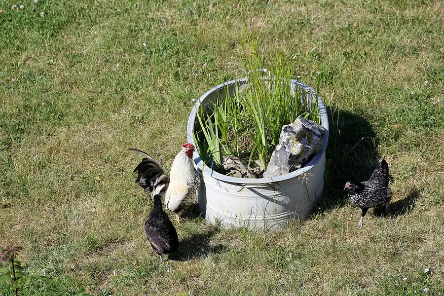 178 | 2020 | Lohme | © carsten riede fotografie