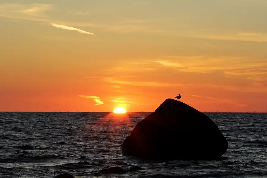 195 | 2020 | Lohme | Sonnenaufgang 18.06.2020 | © carsten riede fotografie