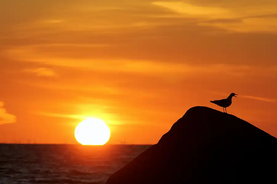 196 | 2020 | Lohme | Sonnenaufgang 18.06.2020 | © carsten riede fotografie