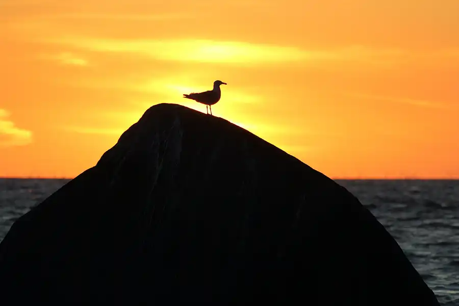 198 | 2020 | Lohme | Sonnenaufgang 18.06.2020 | © carsten riede fotografie