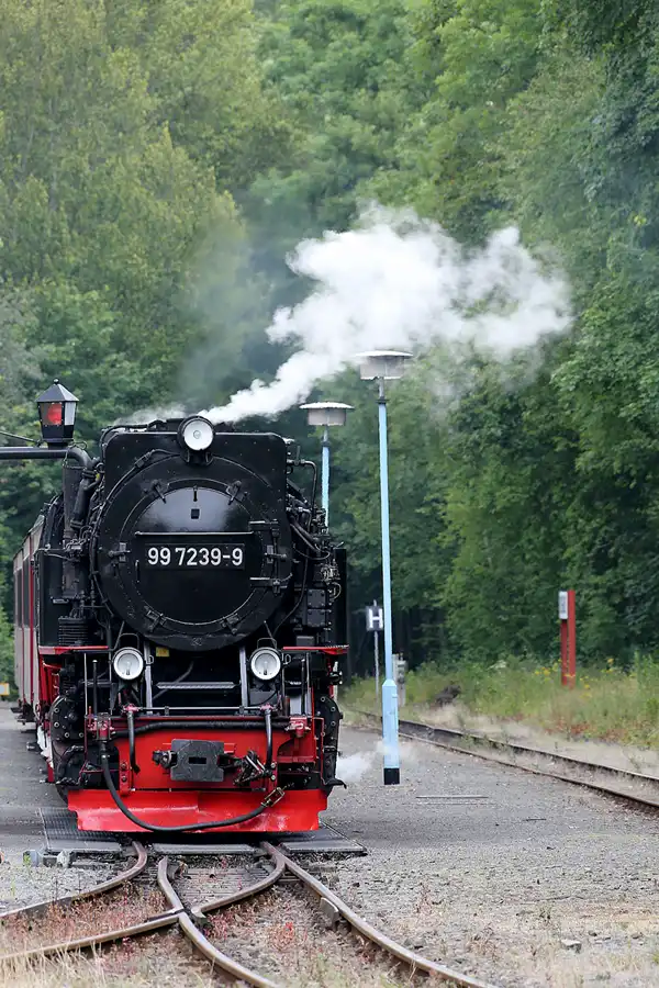 080 | 2020 | Alexisbad | Selketalbahn | © carsten riede fotografie