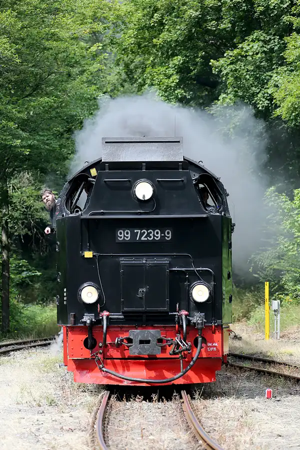 092 | 2020 | Mägdesprung | Selketalbahn | © carsten riede fotografie