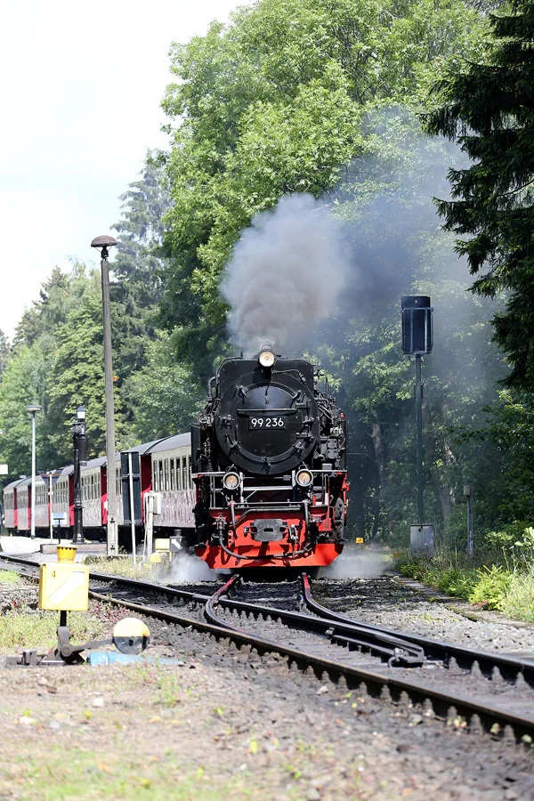 110 | 2020 | Drei Annen Hohne | Brockenbahn | © carsten riede fotografie