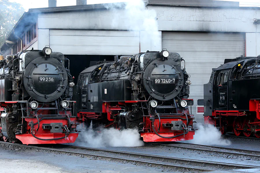 051 | 2020 | Wernigerode | Bahnbetriebswerk Wernigerode – Harzer Schmalspurbahnen | © carsten riede fotografie
