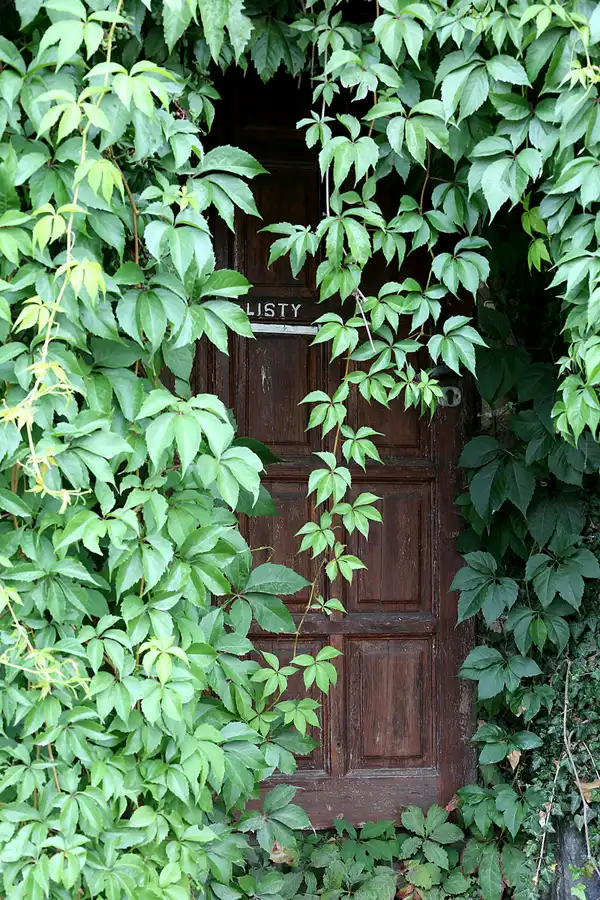 095 | 2020 | Roztoka | © carsten riede fotografie