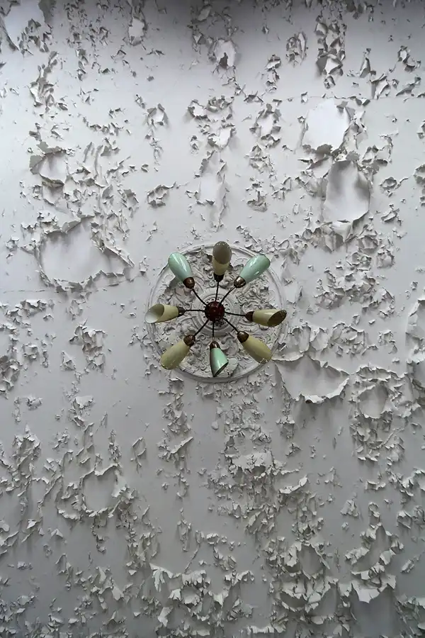 032 | 2020 | Bożków | Pałac w Bożkowie – Schloss Eckersdorf | © carsten riede fotografie