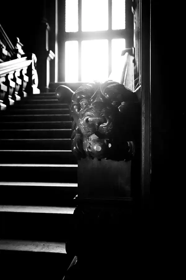 052 | 2020 | Bożków | Pałac w Bożkowie – Schloss Eckersdorf | © carsten riede fotografie